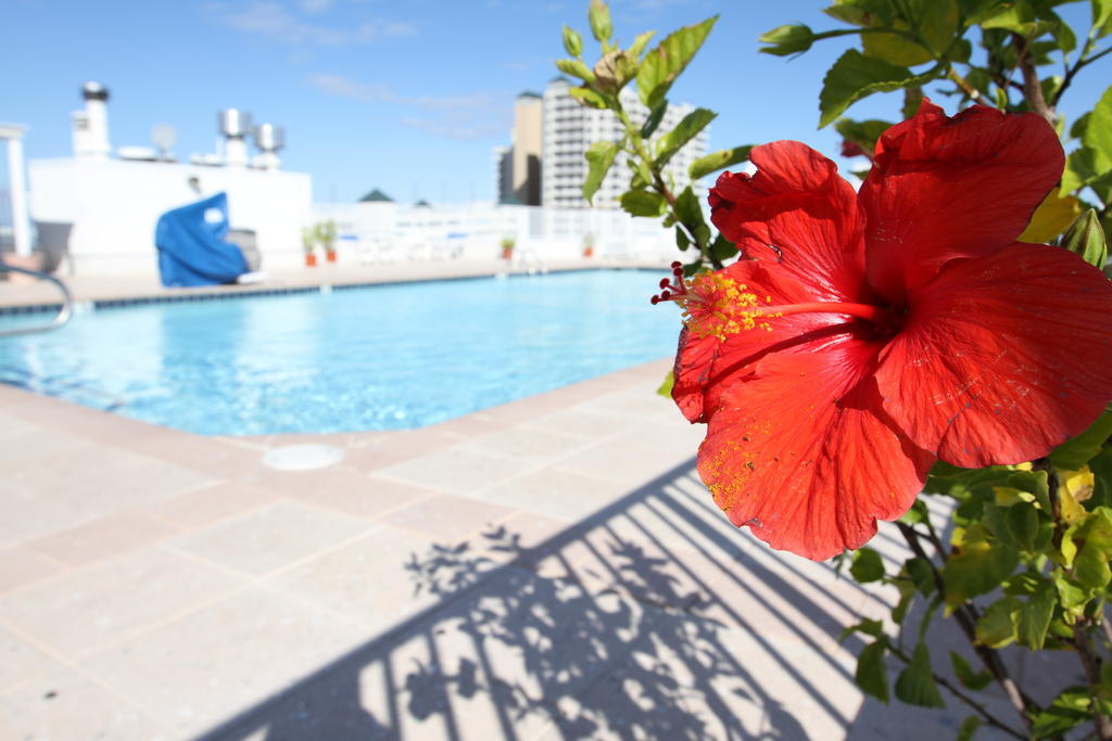 Princess Bayside Beach Hotel Ocean City Exteriör bild