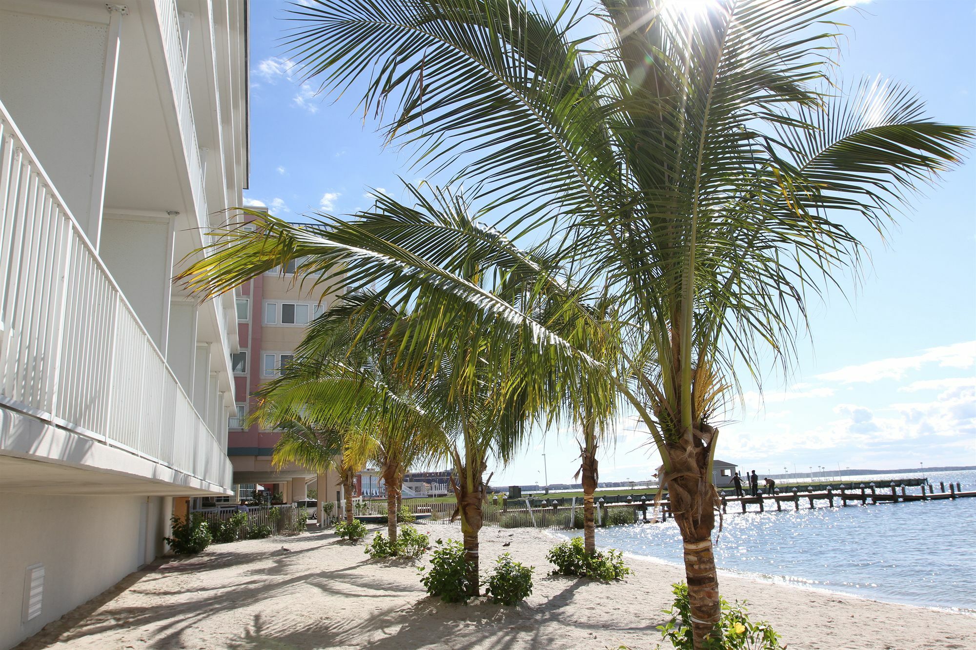 Princess Bayside Beach Hotel Ocean City Exteriör bild